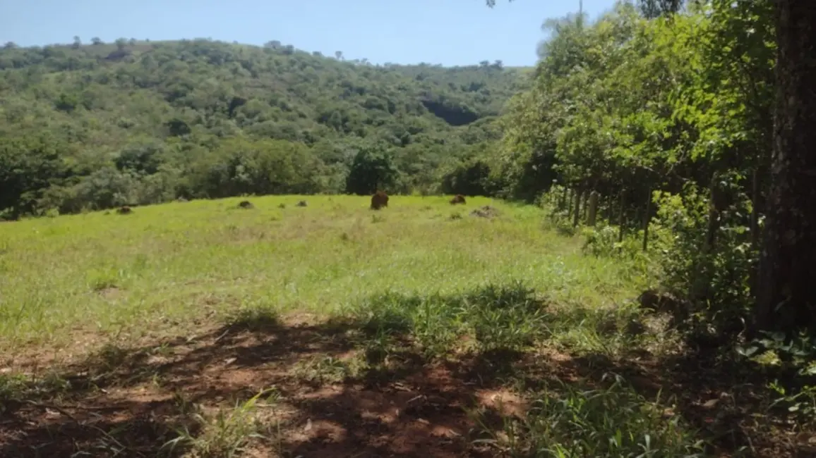 Foto 5 de Terreno / Lote à venda, 20000m2 em Entre Rios De Minas - MG