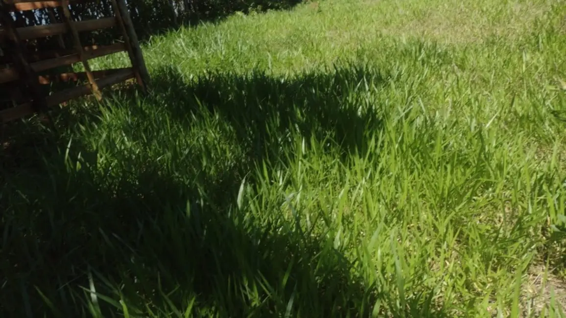 Foto 3 de Terreno / Lote à venda, 20000m2 em Entre Rios De Minas - MG