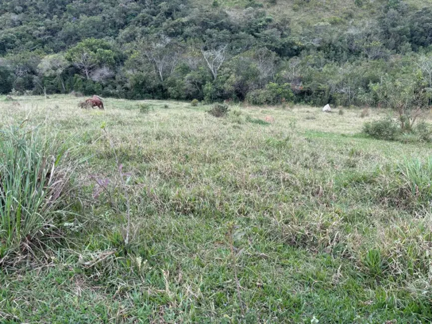 Terreno / Lote à venda, 300000m2 em Desterro De Entre Rios - MG - imagem 8 Foto 8 de Terreno / Lote à venda, 300000m2 em Desterro De Entre Rios - MG