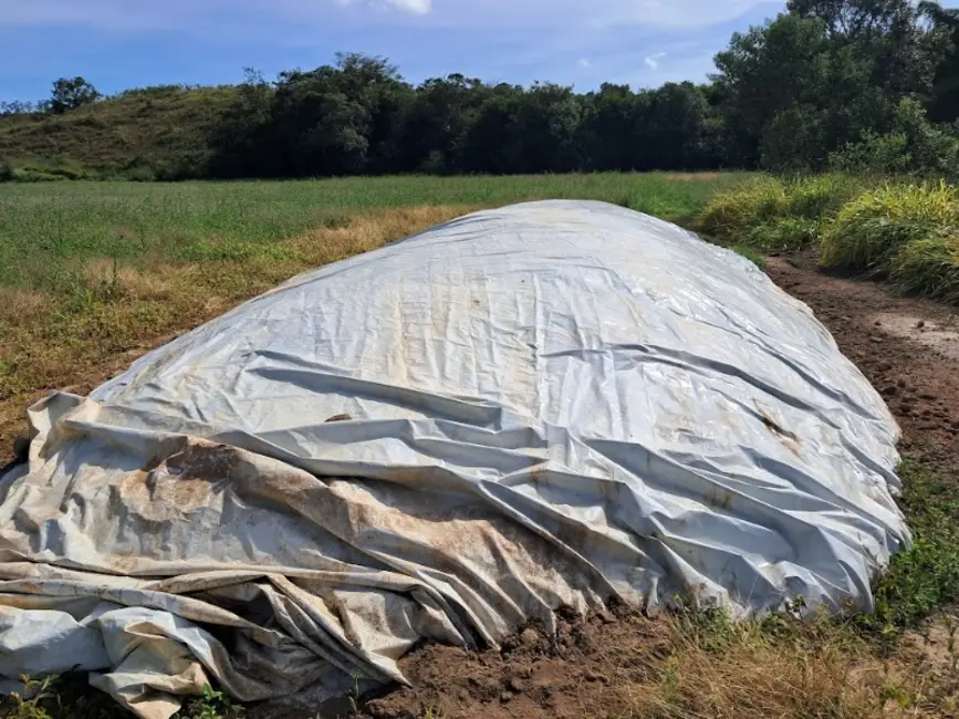 Terreno / Lote à venda, 74000m2 em Desterro De Entre Rios - MG - imagem 9 Foto 9 de Terreno / Lote à venda, 74000m2 em Desterro De Entre Rios - MG