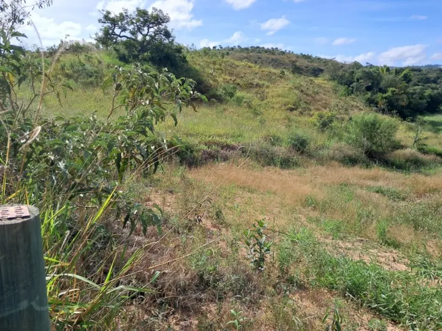 Foto 2 de Terreno / Lote à venda, 74000m2 em Desterro De Entre Rios - MG