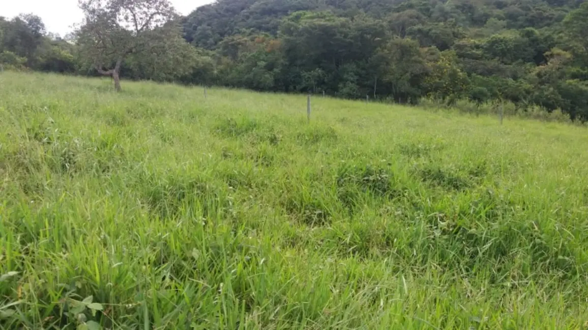 Foto 6 de Sítio / Rancho à venda em Sao Bras Do Suacui - MG