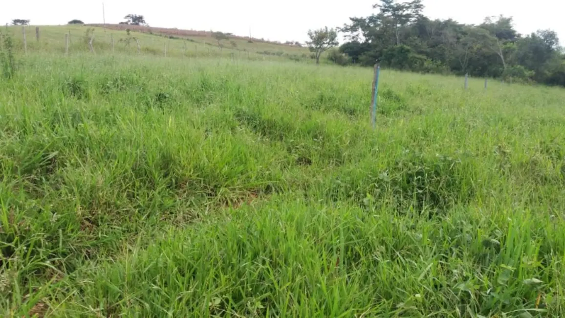 Foto 4 de Sítio / Rancho à venda em Sao Bras Do Suacui - MG
