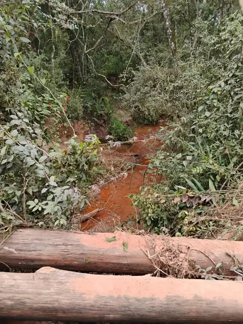 Foto 9 de Sítio / Rancho à venda em Sao Bras Do Suacui - MG