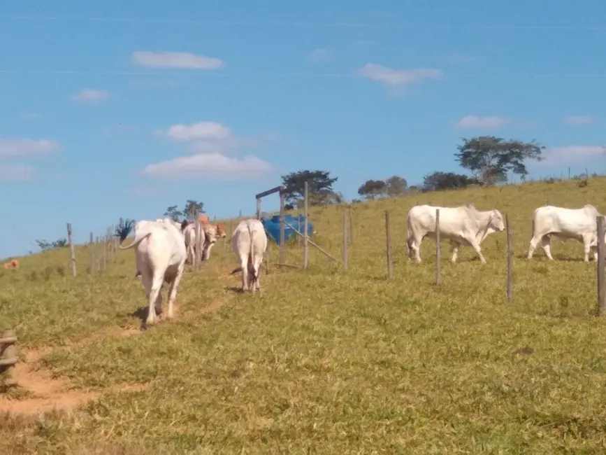 Foto 3 de Sítio / Rancho à venda em Sao Bras Do Suacui - MG