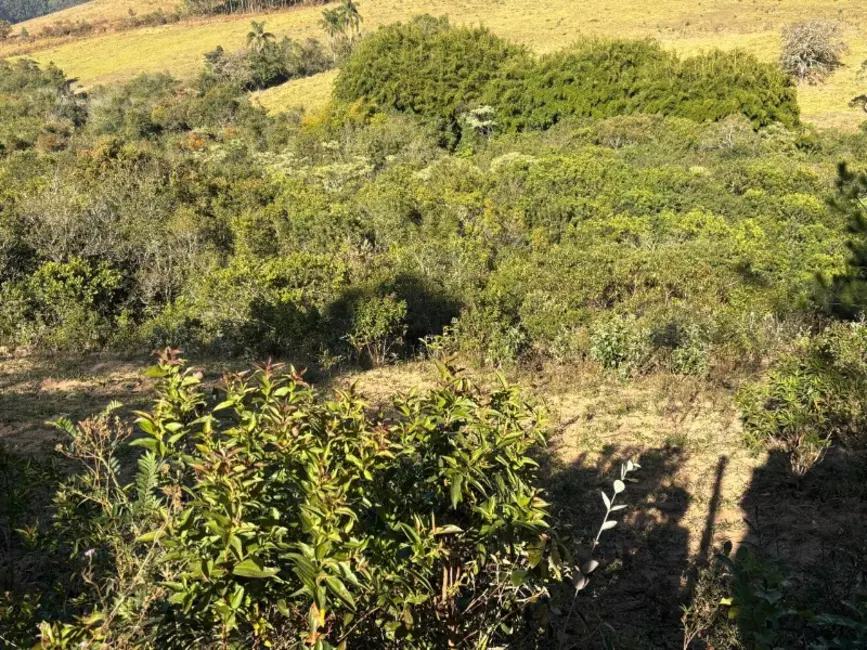 Terreno / Lote à venda, 180000m2 em Desterro De Entre Rios - MG - imagem 8 Foto 8 de Terreno / Lote à venda, 180000m2 em Desterro De Entre Rios - MG