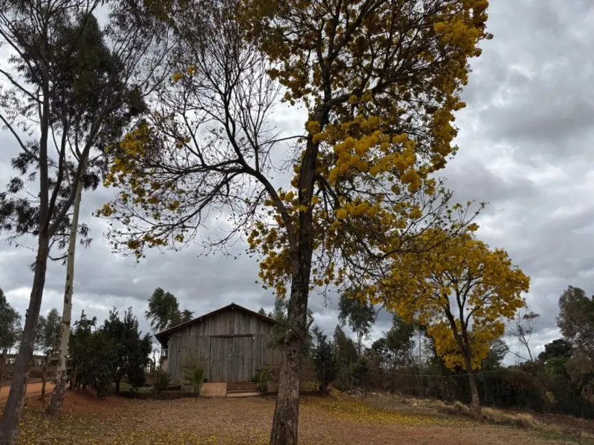 Foto 1 de Sítio / Rancho à venda em Entre Rios De Minas - MG