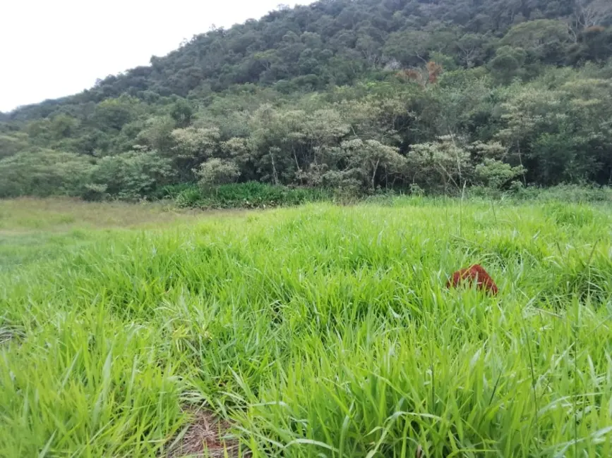 Foto 2 de Terreno / Lote à venda, 20000m2 em Entre Rios De Minas - MG