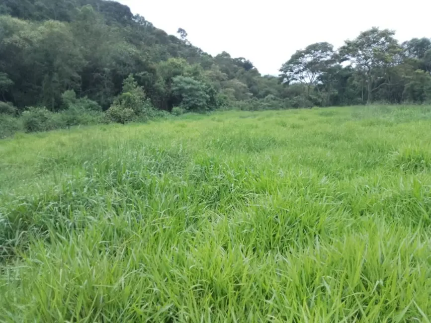 Foto 1 de Terreno / Lote à venda, 20000m2 em Entre Rios De Minas - MG