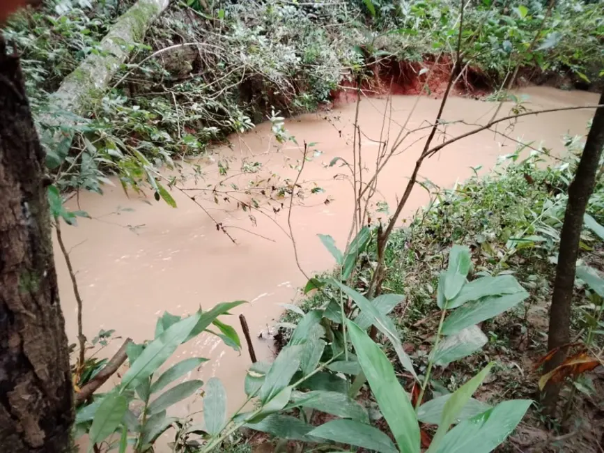 Foto 4 de Terreno / Lote à venda, 20000m2 em Entre Rios De Minas - MG
