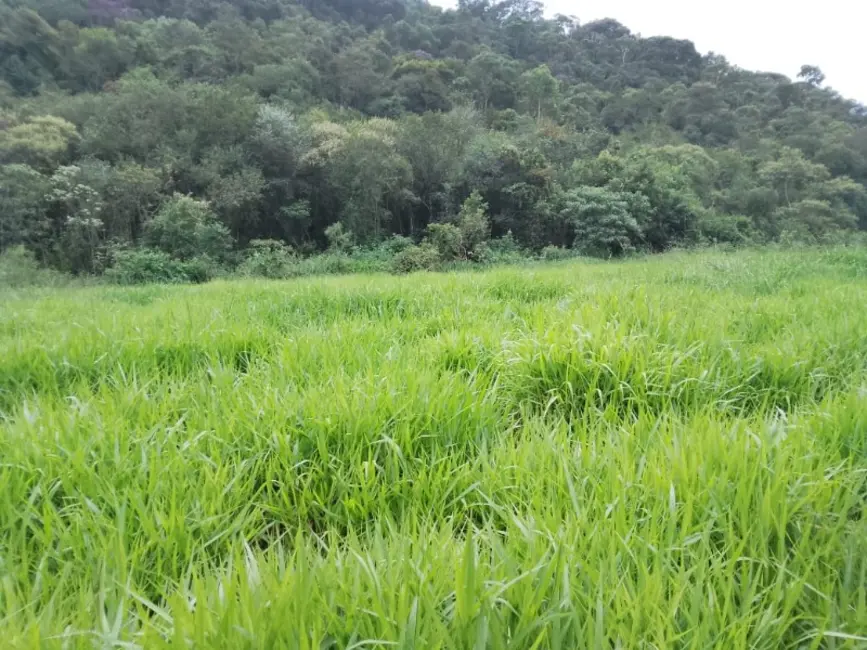 Foto 3 de Terreno / Lote à venda, 20000m2 em Entre Rios De Minas - MG