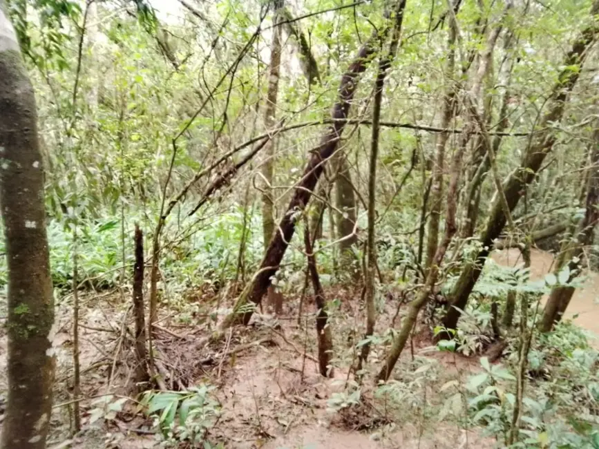 Foto 7 de Terreno / Lote à venda, 20000m2 em Entre Rios De Minas - MG