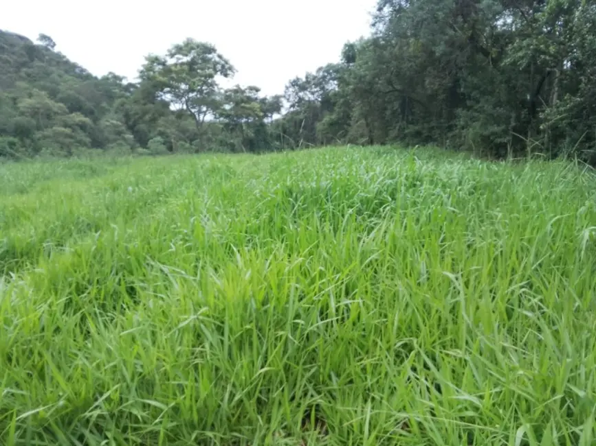 Foto 5 de Terreno / Lote à venda, 20000m2 em Entre Rios De Minas - MG