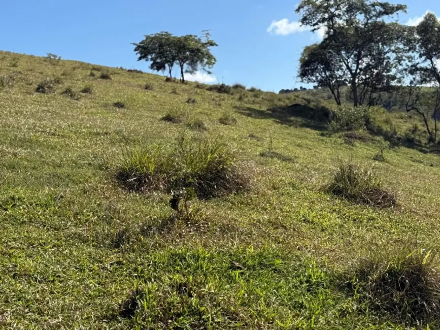 Terreno / Lote à venda, 420000m2 em Desterro De Entre Rios - MG - imagem 8 Foto 8 de Terreno / Lote à venda, 420000m2 em Desterro De Entre Rios - MG