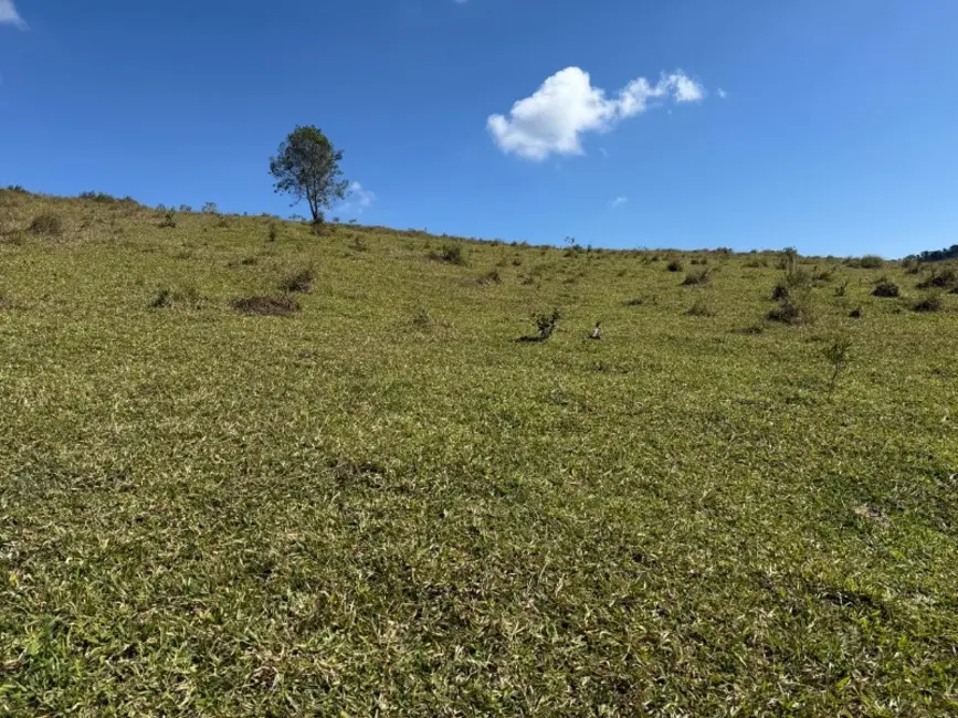 Terreno / Lote à venda, 420000m2 em Desterro De Entre Rios - MG - imagem 3 Foto 3 de Terreno / Lote à venda, 420000m2 em Desterro De Entre Rios - MG