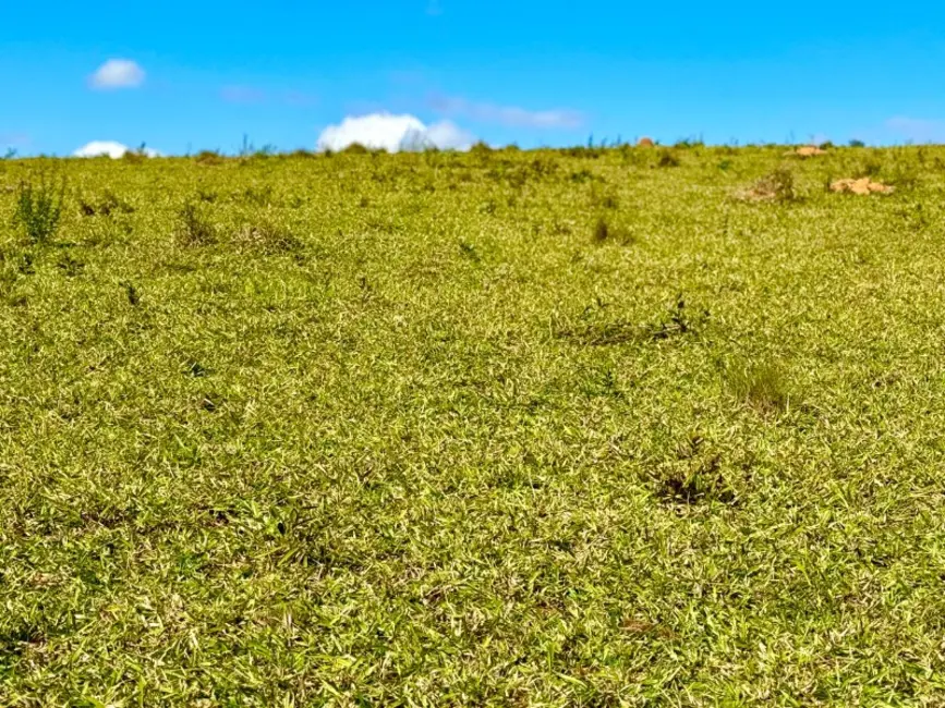 Foto 1 de Terreno / Lote à venda, 420000m2 em Desterro De Entre Rios - MG