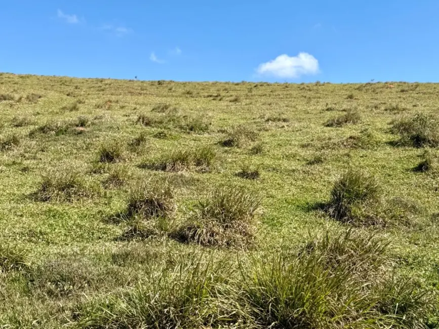 Terreno / Lote à venda, 420000m2 em Desterro De Entre Rios - MG - imagem 6 Foto 6 de Terreno / Lote à venda, 420000m2 em Desterro De Entre Rios - MG