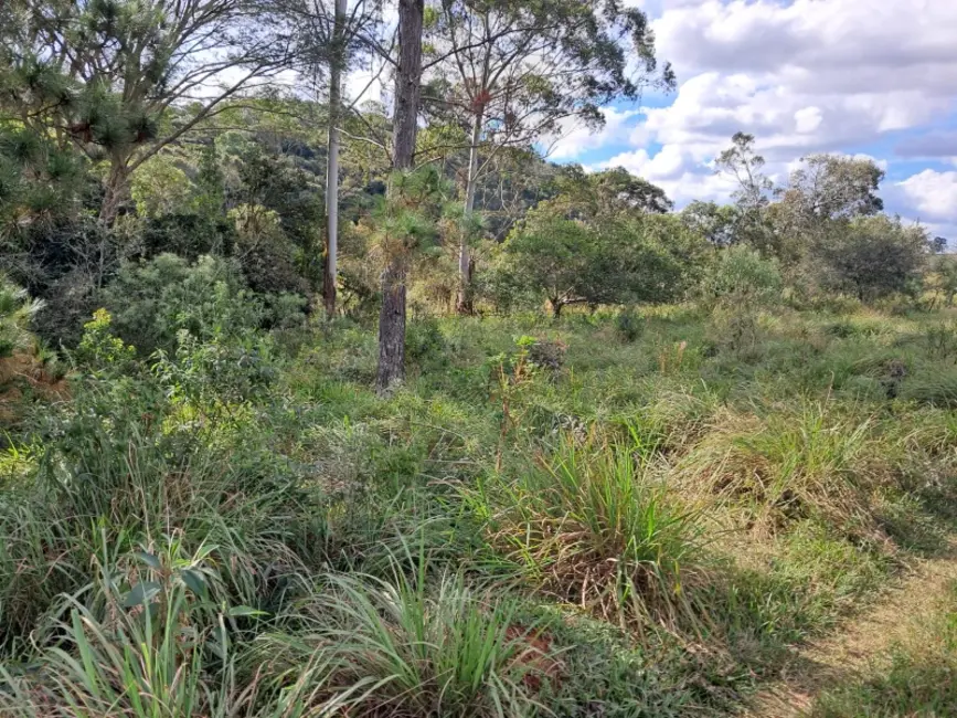 Sítio / Rancho à venda em Desterro De Entre Rios - MG - imagem 3 Foto 3 de Sítio / Rancho à venda em Desterro De Entre Rios - MG