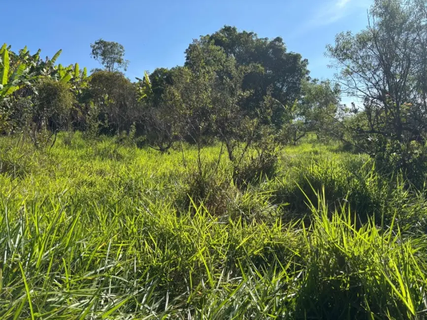Foto 6 de Terreno / Lote à venda, 12500m2 em Castro, Entre Rios De Minas - MG