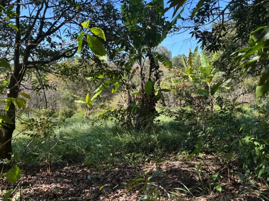 Foto 5 de Terreno / Lote à venda, 12500m2 em Castro, Entre Rios De Minas - MG