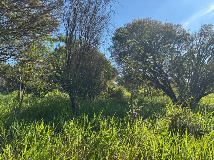 Foto 4 de Terreno / Lote à venda, 12500m2 em Castro, Entre Rios De Minas - MG
