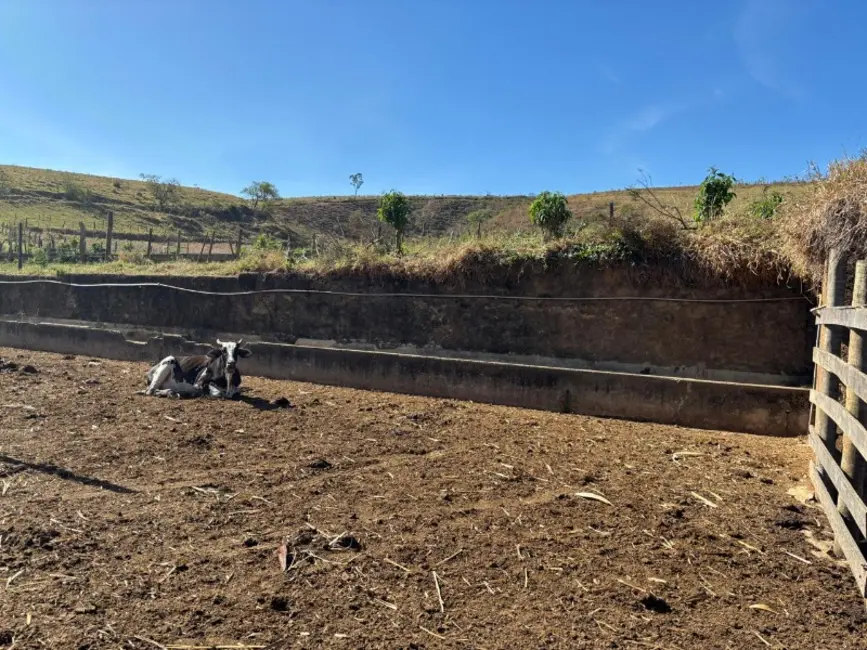 Terreno / Lote à venda, 270000m2 em Desterro De Entre Rios - MG - imagem 3 Foto 3 de Terreno / Lote à venda, 270000m2 em Desterro De Entre Rios - MG
