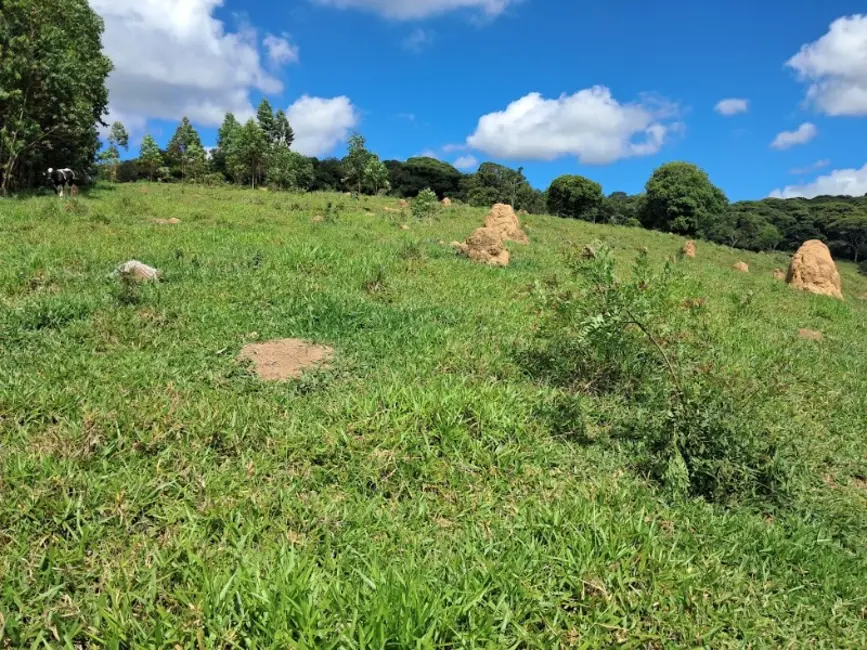 Foto 9 de Sítio / Rancho à venda em Desterro De Entre Rios - MG