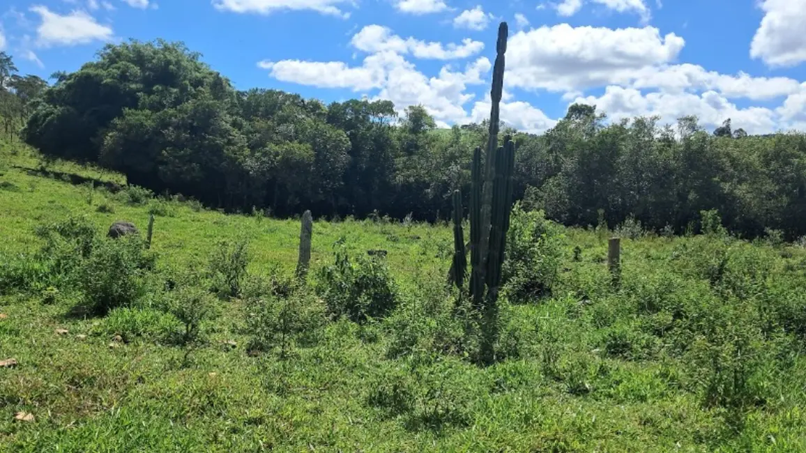 Foto 5 de Sítio / Rancho à venda em Desterro De Entre Rios - MG
