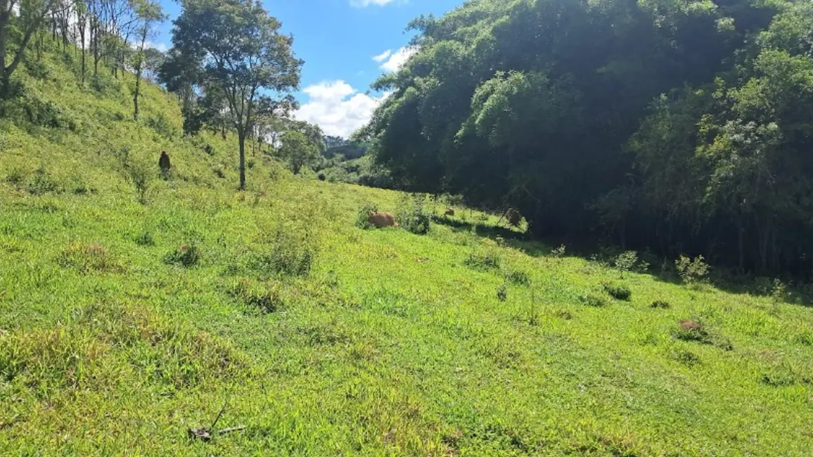 Foto 6 de Sítio / Rancho à venda em Desterro De Entre Rios - MG