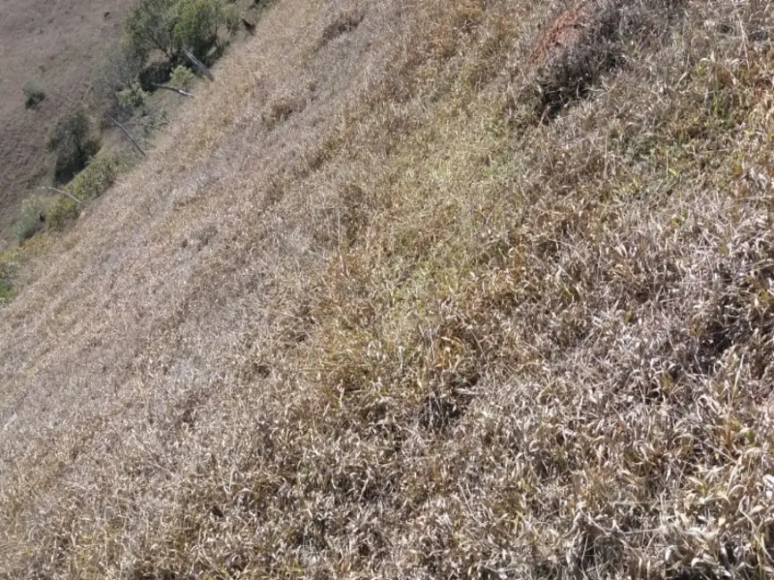 Terreno / Lote à venda, 240000m2 em Desterro De Entre Rios - MG - imagem 7 Foto 7 de Terreno / Lote à venda, 240000m2 em Desterro De Entre Rios - MG