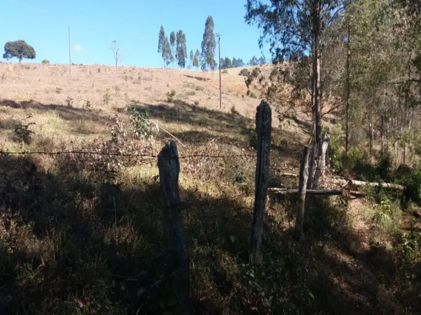 Terreno / Lote à venda, 240000m2 em Desterro De Entre Rios - MG - imagem 8 Foto 8 de Terreno / Lote à venda, 240000m2 em Desterro De Entre Rios - MG