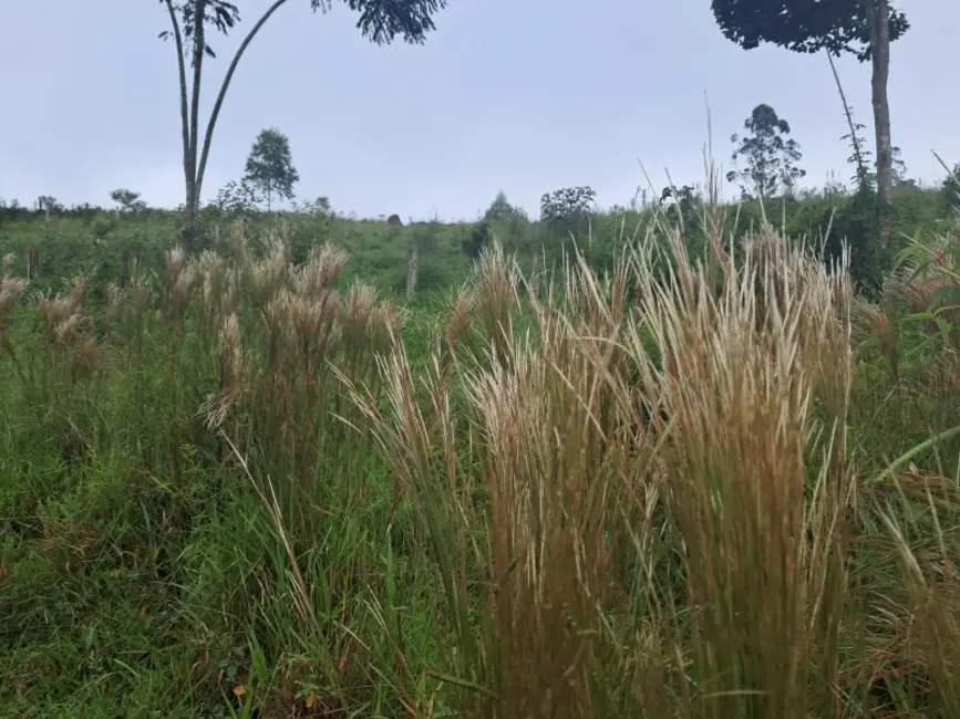 Foto 5 de Chácara à venda em Desterro De Entre Rios - MG
