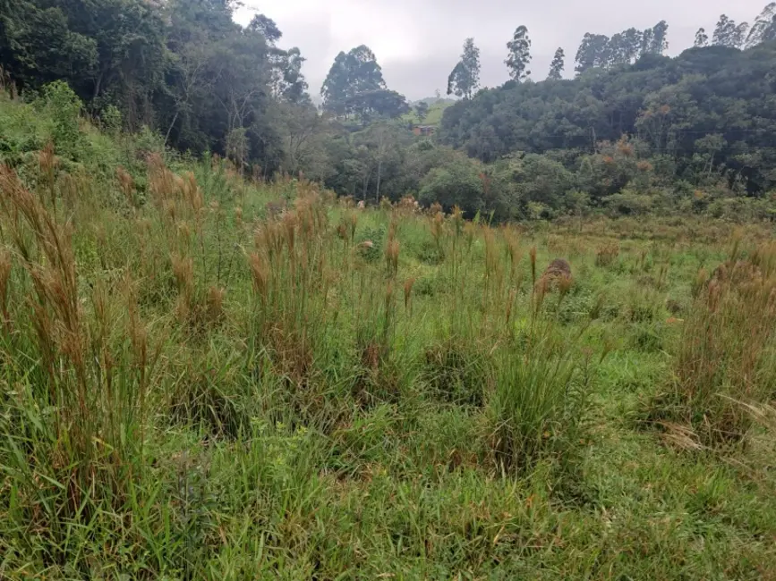 Foto 7 de Chácara à venda em Desterro De Entre Rios - MG