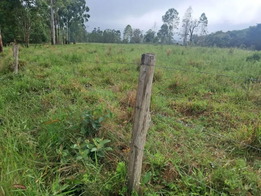 Foto 4 de Chácara à venda em Desterro De Entre Rios - MG