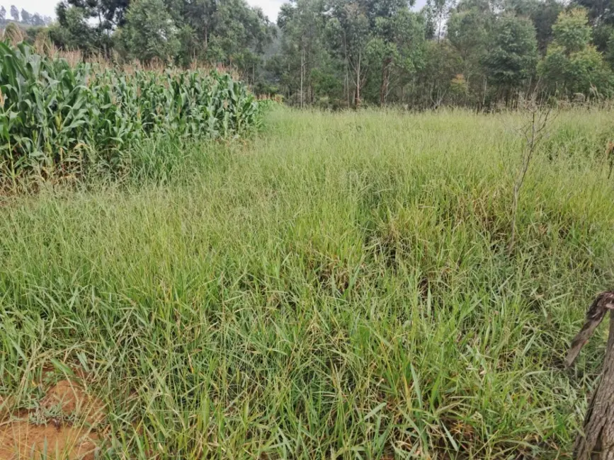 Foto 6 de Chácara à venda em Desterro De Entre Rios - MG