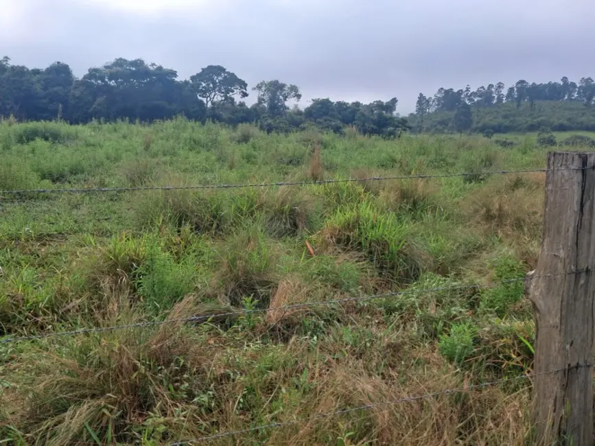 Foto 3 de Chácara à venda em Desterro De Entre Rios - MG
