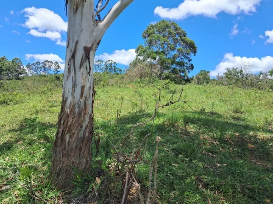 Foto 1 de Terreno / Lote à venda, 220000m2 em Desterro De Entre Rios - MG