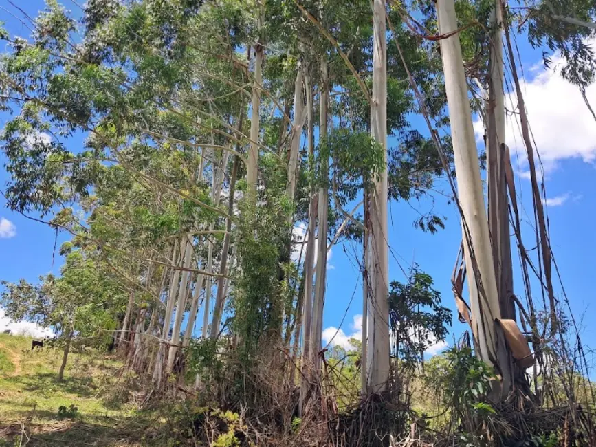 Foto 2 de Terreno / Lote à venda, 220000m2 em Desterro De Entre Rios - MG