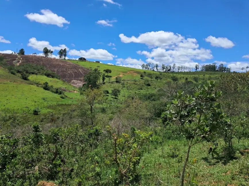 Foto 5 de Terreno / Lote à venda, 220000m2 em Desterro De Entre Rios - MG