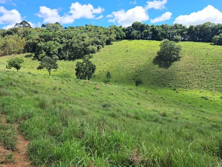 Foto 2 de Terreno / Lote à venda, 90000m2 em Desterro De Entre Rios - MG