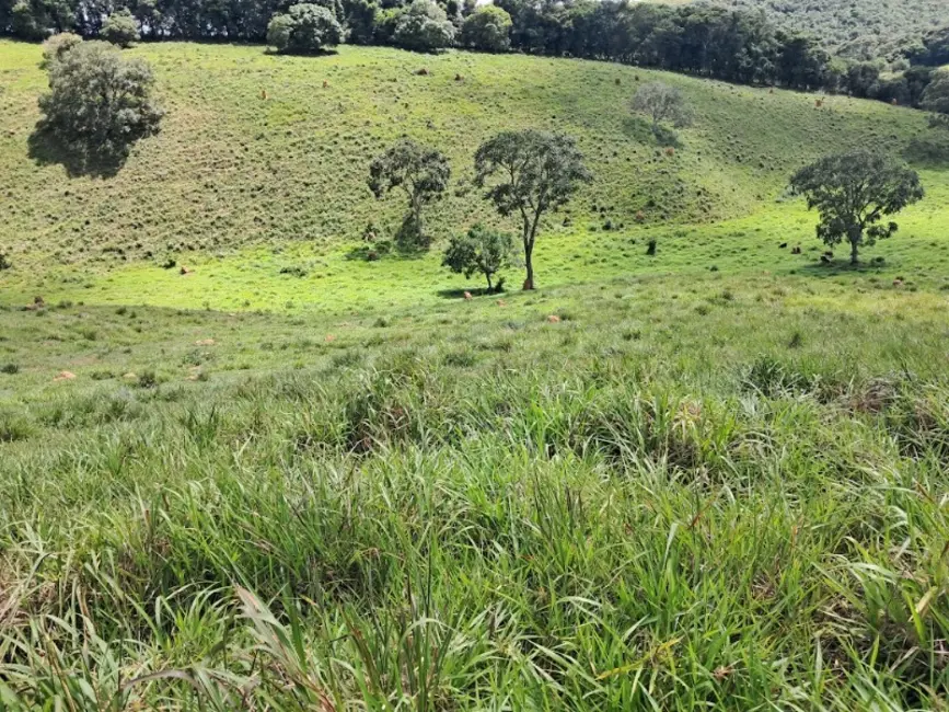 Foto 4 de Terreno / Lote à venda, 90000m2 em Desterro De Entre Rios - MG