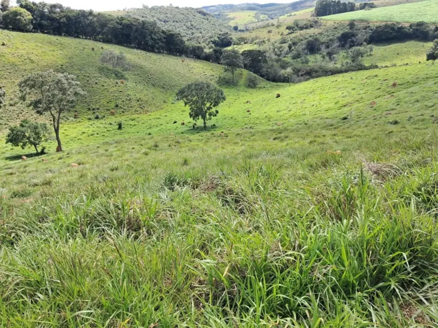 Foto 5 de Terreno / Lote à venda, 90000m2 em Desterro De Entre Rios - MG