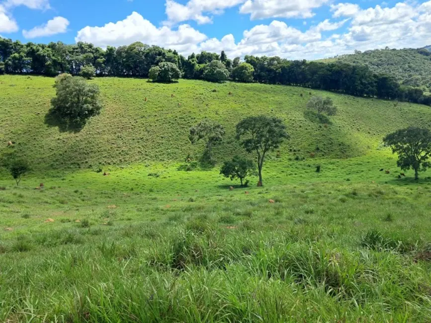 Foto 3 de Terreno / Lote à venda, 90000m2 em Desterro De Entre Rios - MG