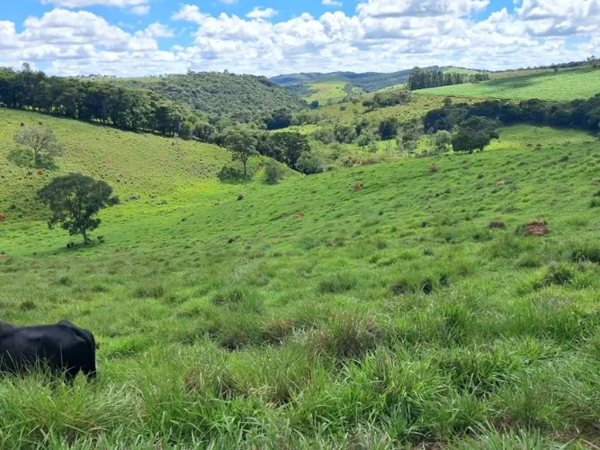 Foto 8 de Terreno / Lote à venda, 90000m2 em Desterro De Entre Rios - MG