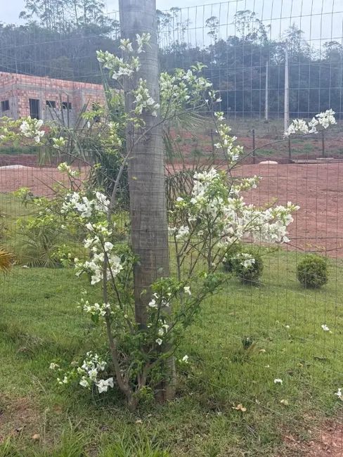 Chácara à venda em Entre Rios De Minas - MG - imagem 7 Foto 7 de Chácara à venda em Entre Rios De Minas - MG