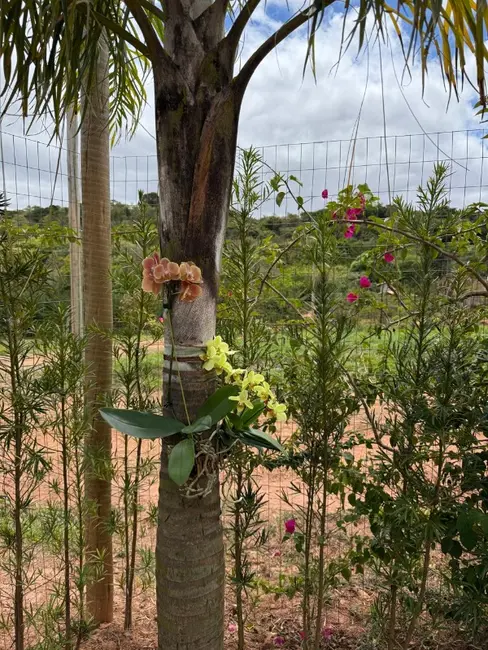 Chácara à venda em Entre Rios De Minas - MG - imagem 8 Foto 8 de Chácara à venda em Entre Rios De Minas - MG