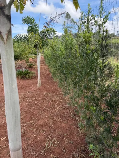 Chácara à venda em Entre Rios De Minas - MG - imagem 3 Foto 3 de Chácara à venda em Entre Rios De Minas - MG