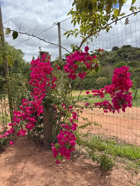 Chácara à venda em Entre Rios De Minas - MG - imagem 6 Foto 6 de Chácara à venda em Entre Rios De Minas - MG