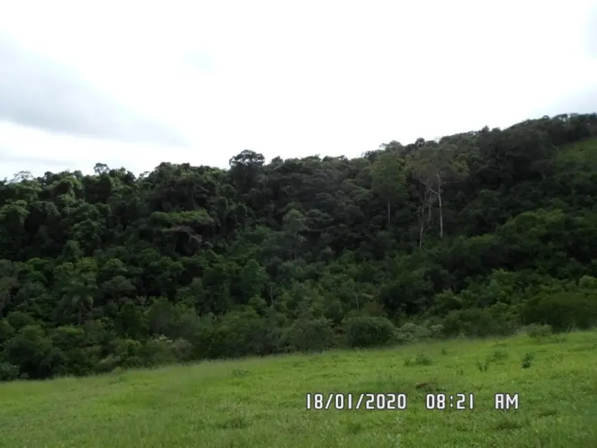 Fazenda / Haras à venda em Entre Rios De Minas - MG - imagem 9 Foto 9 de Fazenda / Haras à venda em Entre Rios De Minas - MG
