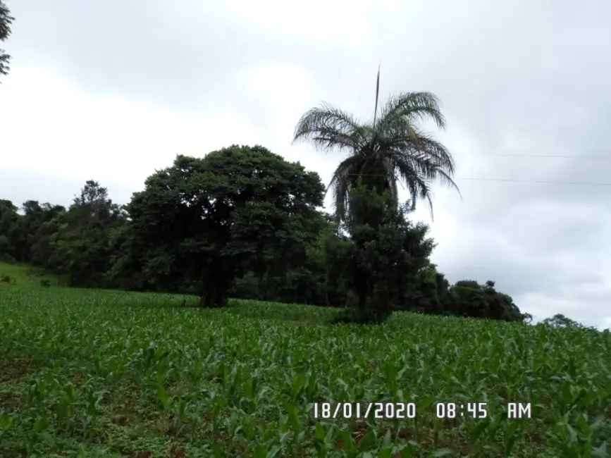 Fazenda / Haras à venda em Entre Rios De Minas - MG - imagem 7 Foto 7 de Fazenda / Haras à venda em Entre Rios De Minas - MG